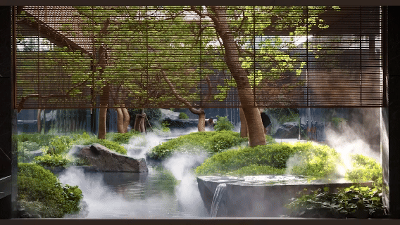 3月27日(5).gif
