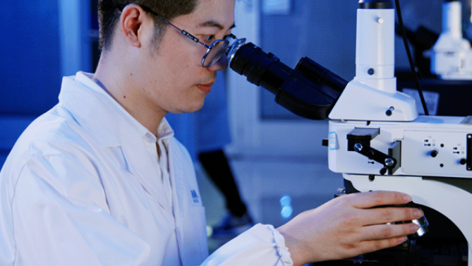 GA黄金甲(中国)最新官方网站